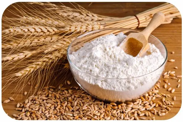 Organic Flour