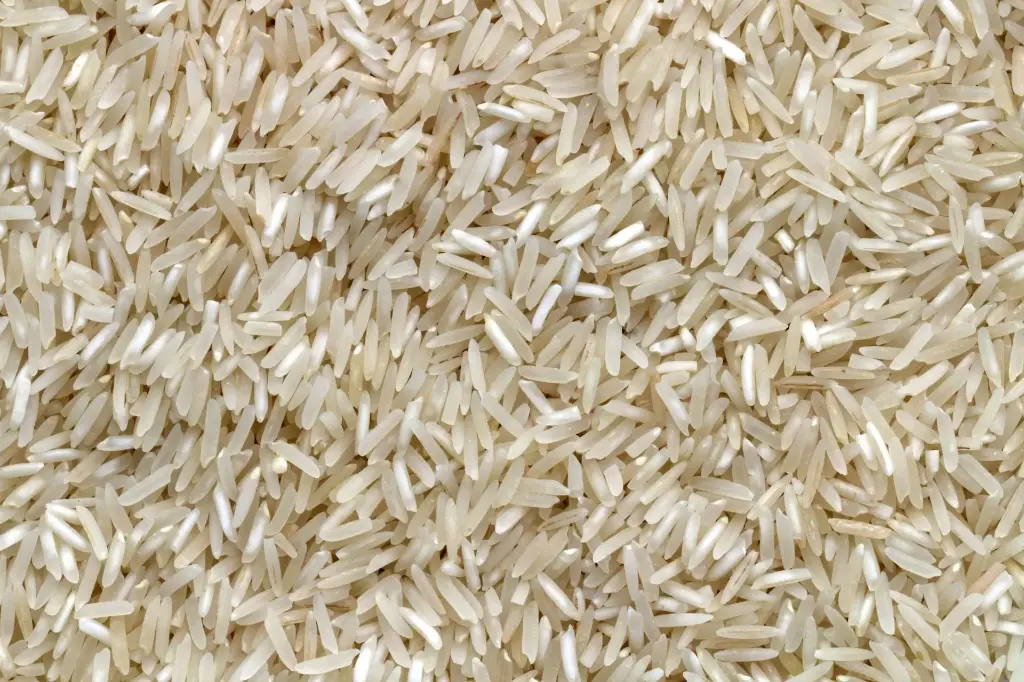 Indian Samba Rice